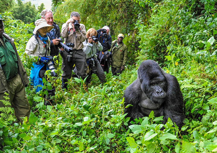 8 Days Uganda Experience Wildlife & Jinja