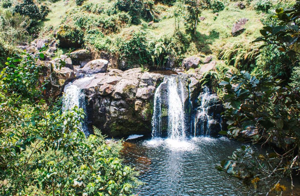 Mt. Kilimanjaro Marangu Route 6 Days