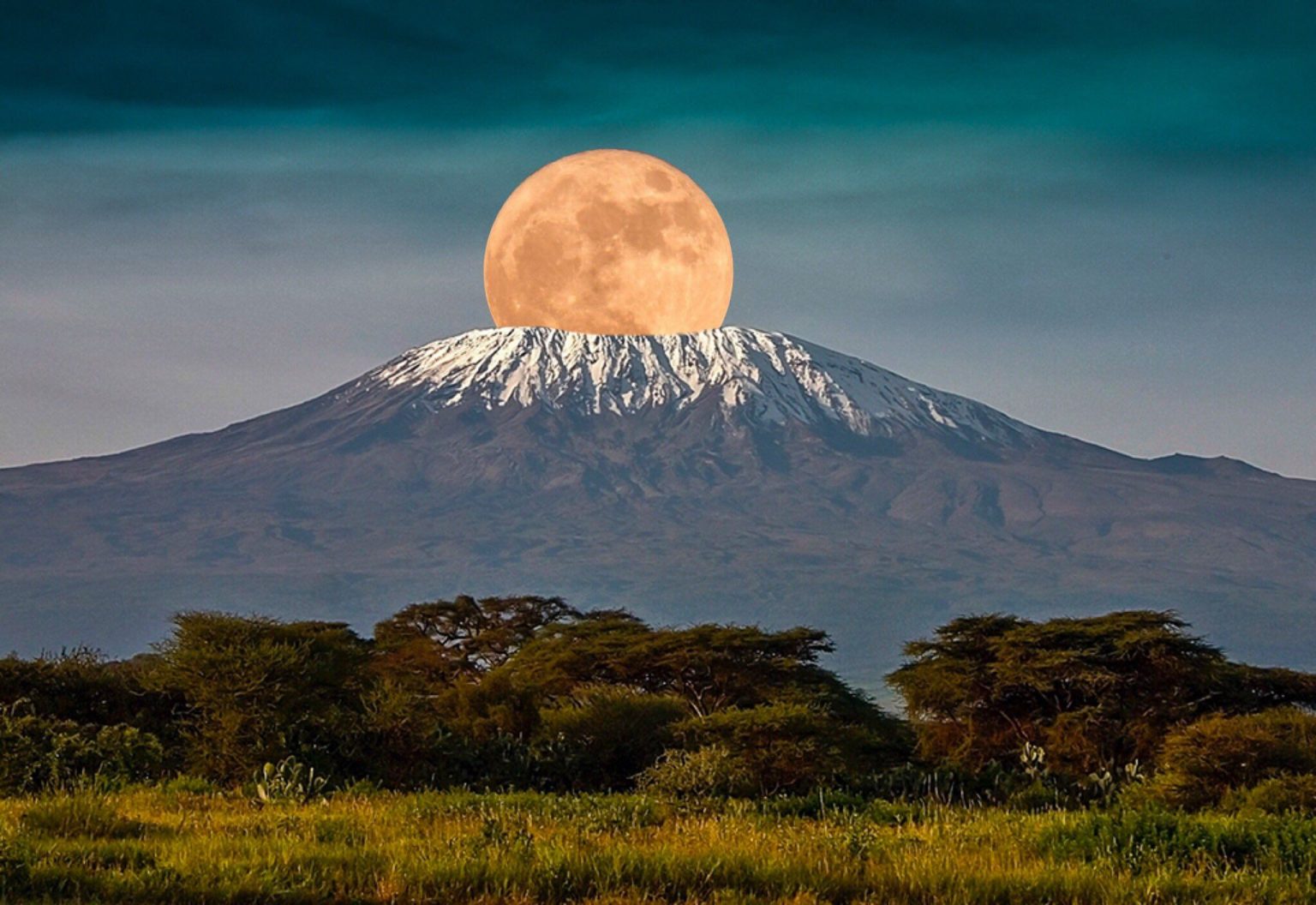 5 Days Kilimanjaro Hike and Serengeti Safari