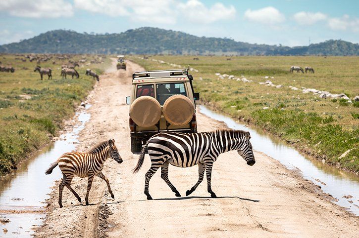 6-DAY AUTHENTIC TANZANIA WILDLIFE SAFARI - Tarangire, Serengeti and Ngorongoro Crater